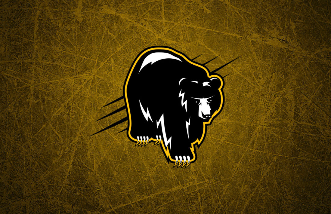Boston Bruins Crest Logo