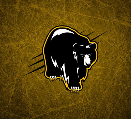 Boston Bruins Crest Logo