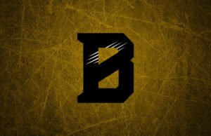 Boston Bruins Secondary Logo