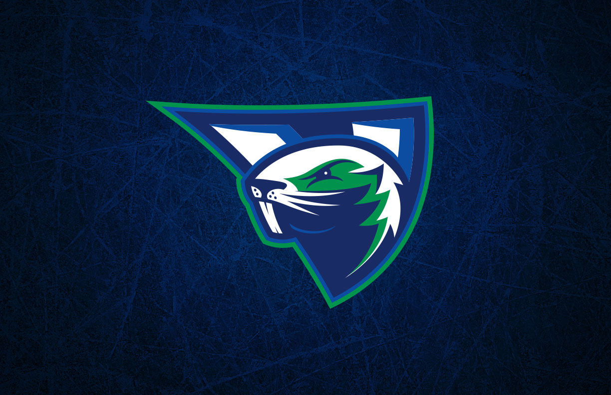 Vancouver Canucks Concepts 