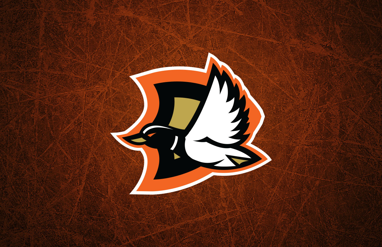 Anaheim Ducks Shoulder Patch Logo