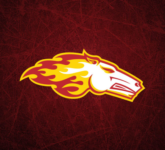 Calgary Flames Crest Logo