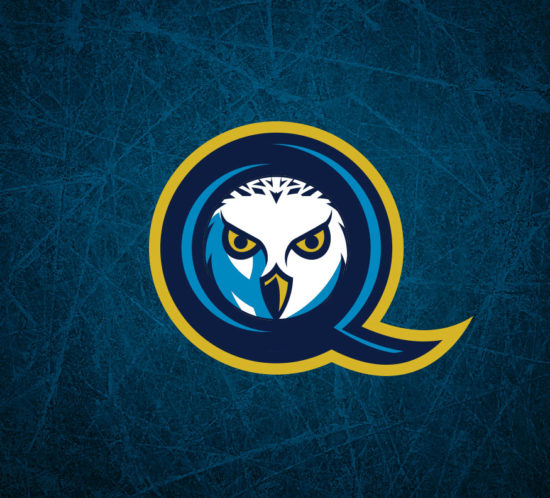 Quebec Nordiques Crest Logo