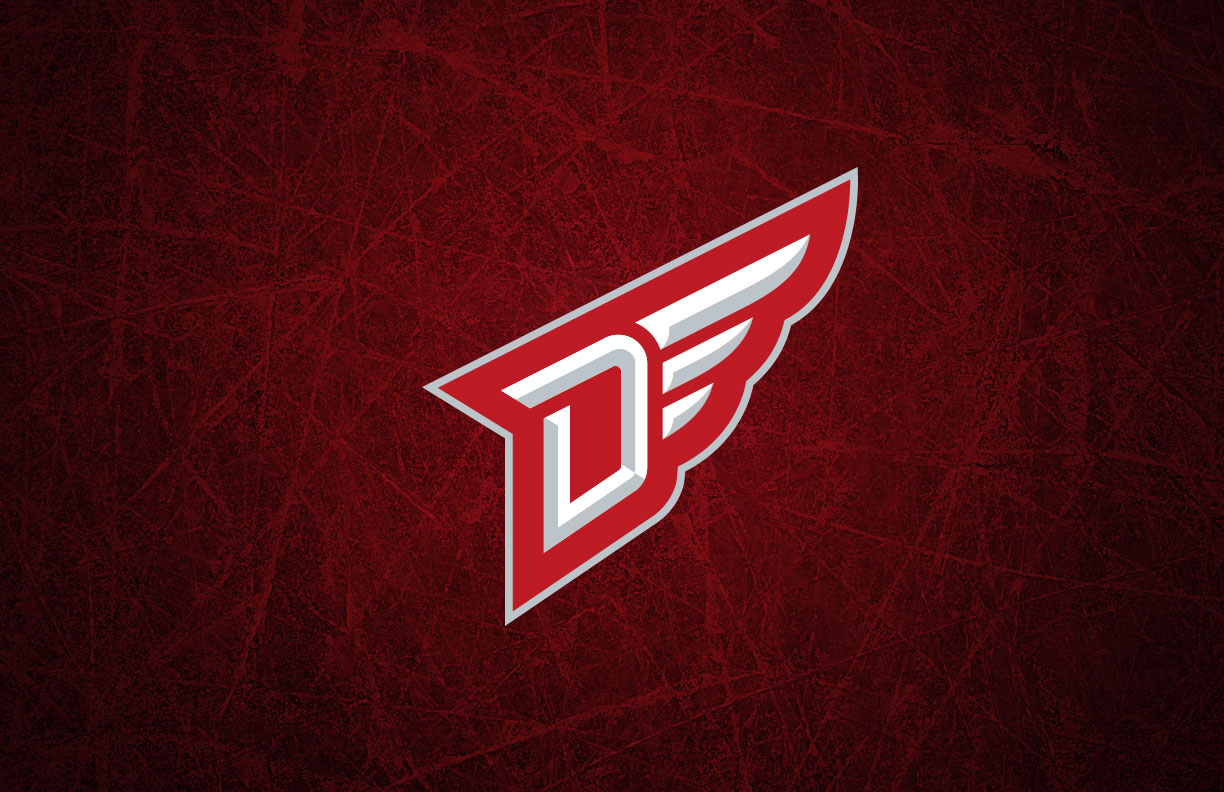 Detroit Red Wings Wordmark Logo