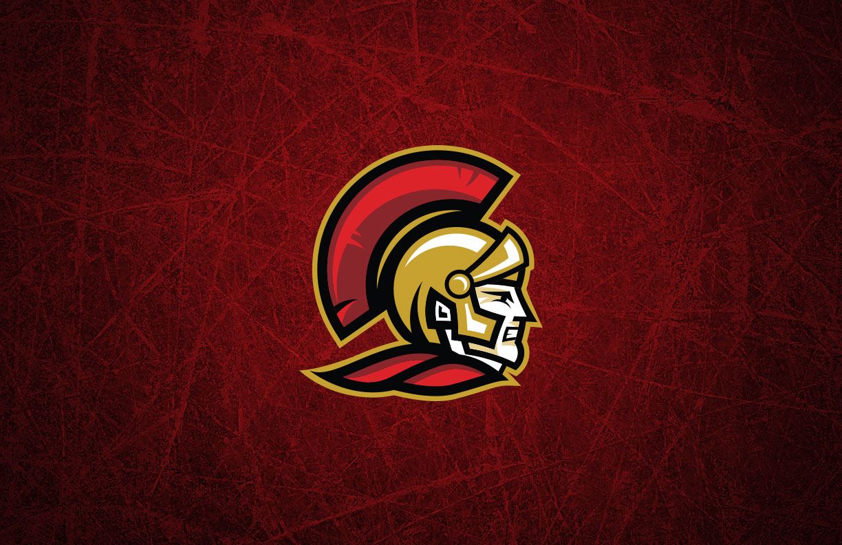 Ottawa Senators Shoulder Patch Logo