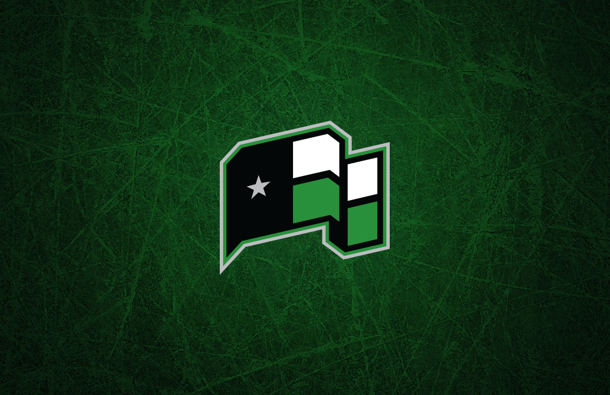 Dallas Stars Primary Team NHL Hockey Logo Jersey Shoulder Patch