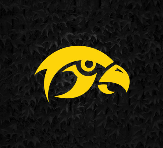 Iowa Hawkeyes Logo Concept