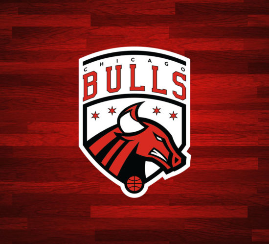 Chicago Bulls Logo Concept