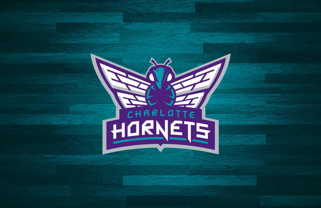 Charlotte Hornets Logo Concept