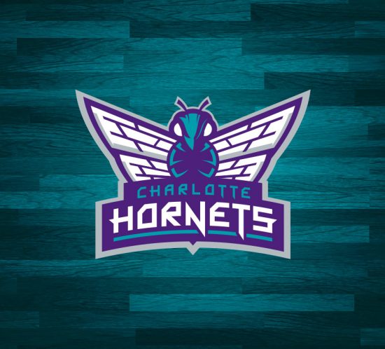 Charlotte Hornets Logo Concept