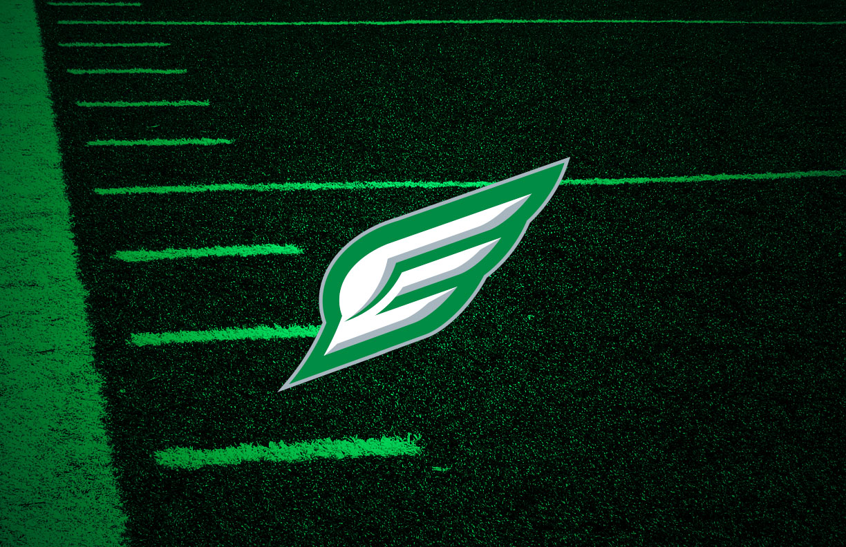 Philadelphia Eagles Secondary Logo