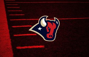 Houston Texans Secondary Logo