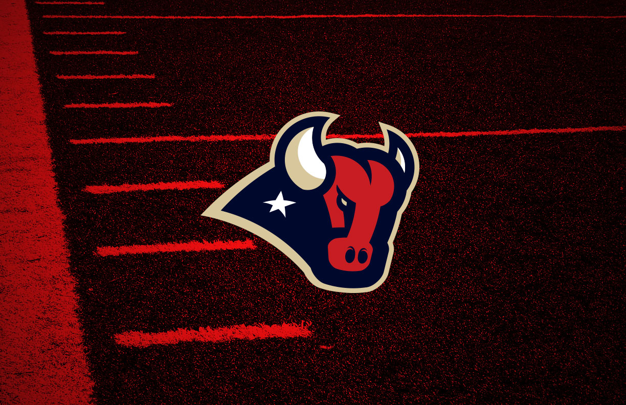 Houston Texans Secondary Logo