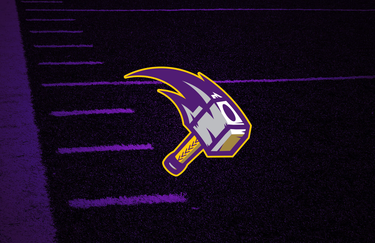 Minnesota Vikings Secondary Logo