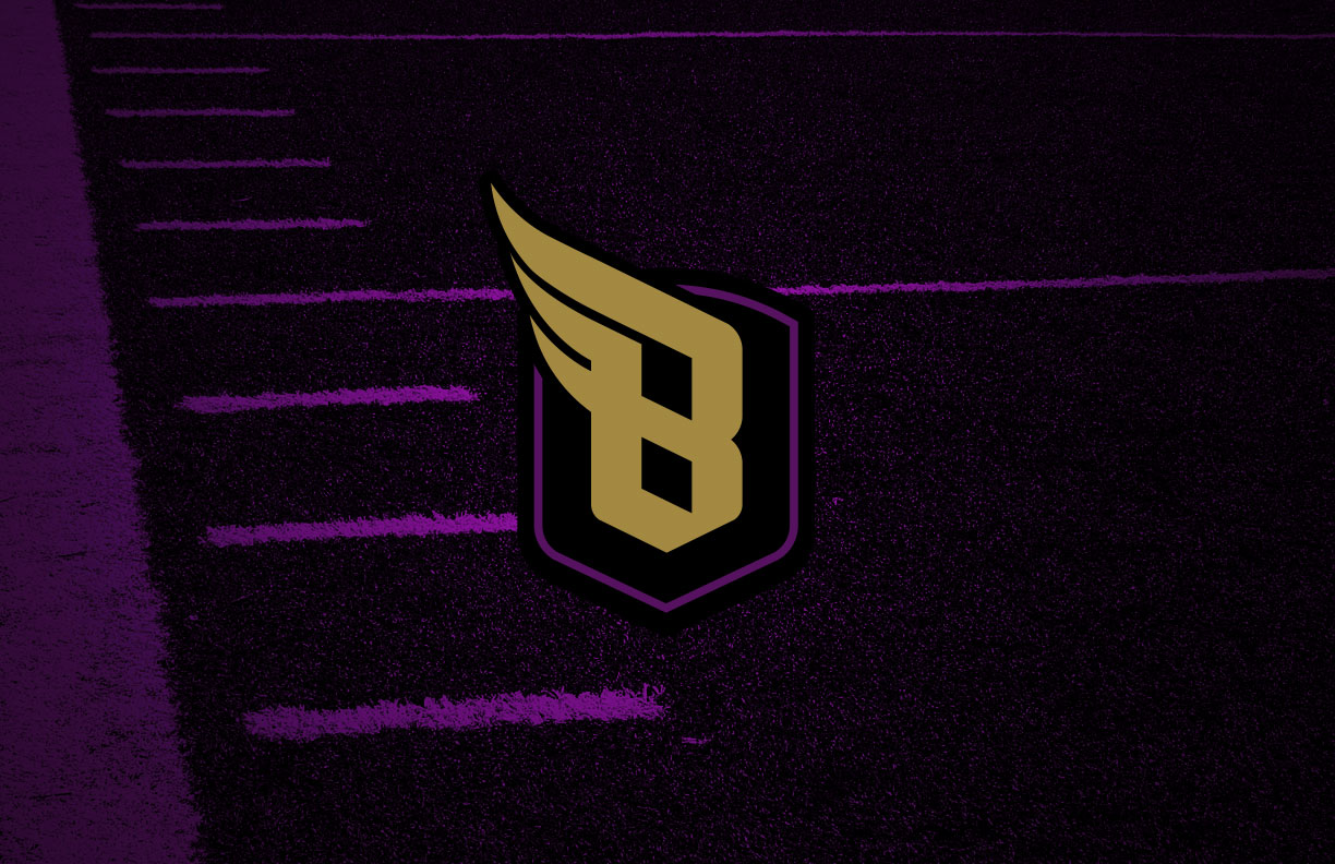 Baltimore Ravens Secondary Logo Concept