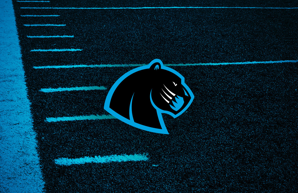 Carolina Panthers Secondary Logo Concept